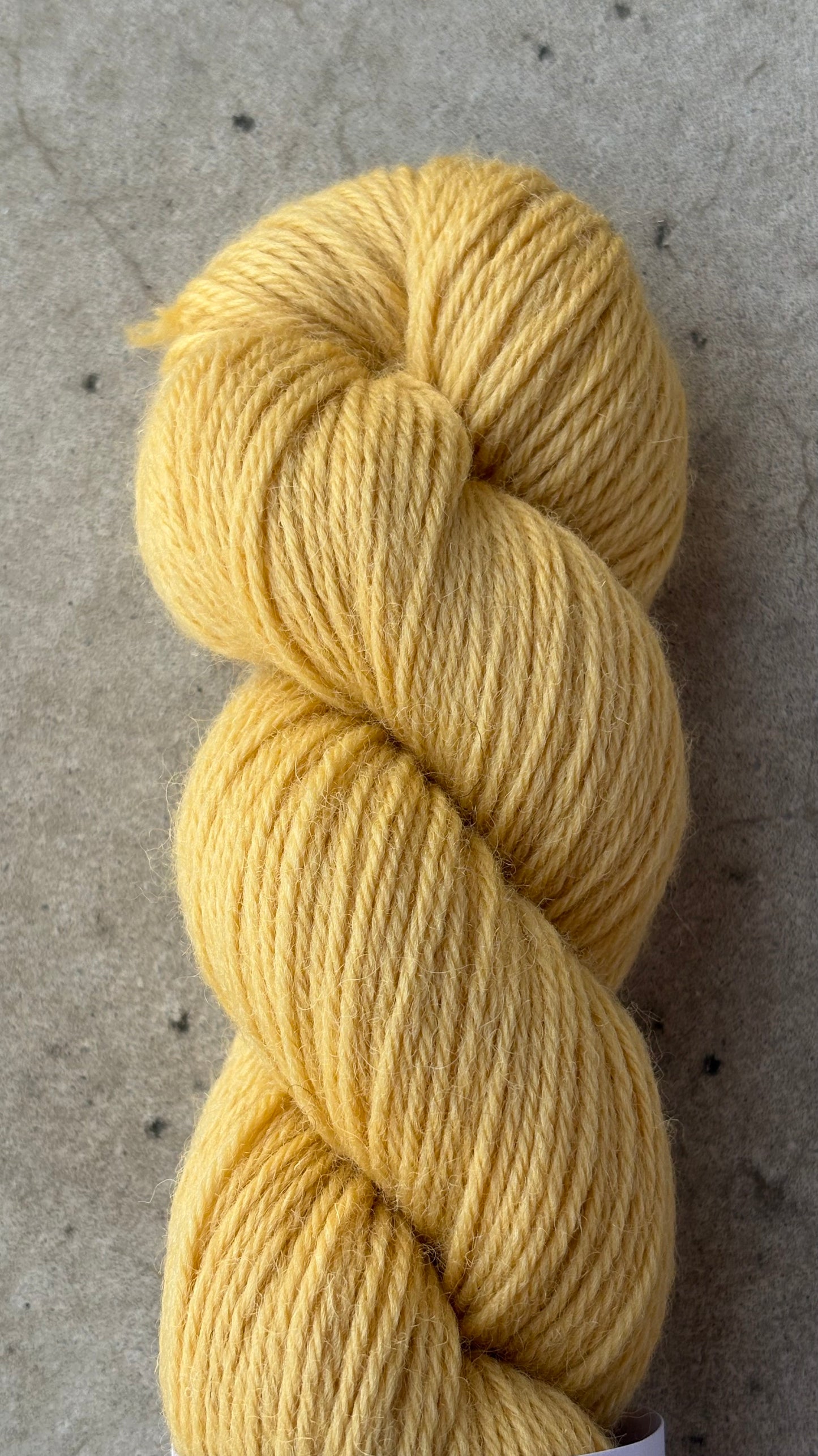 Classic Cuffed Woolly Hat - Coloured Wool Yarn - Harvest Butter