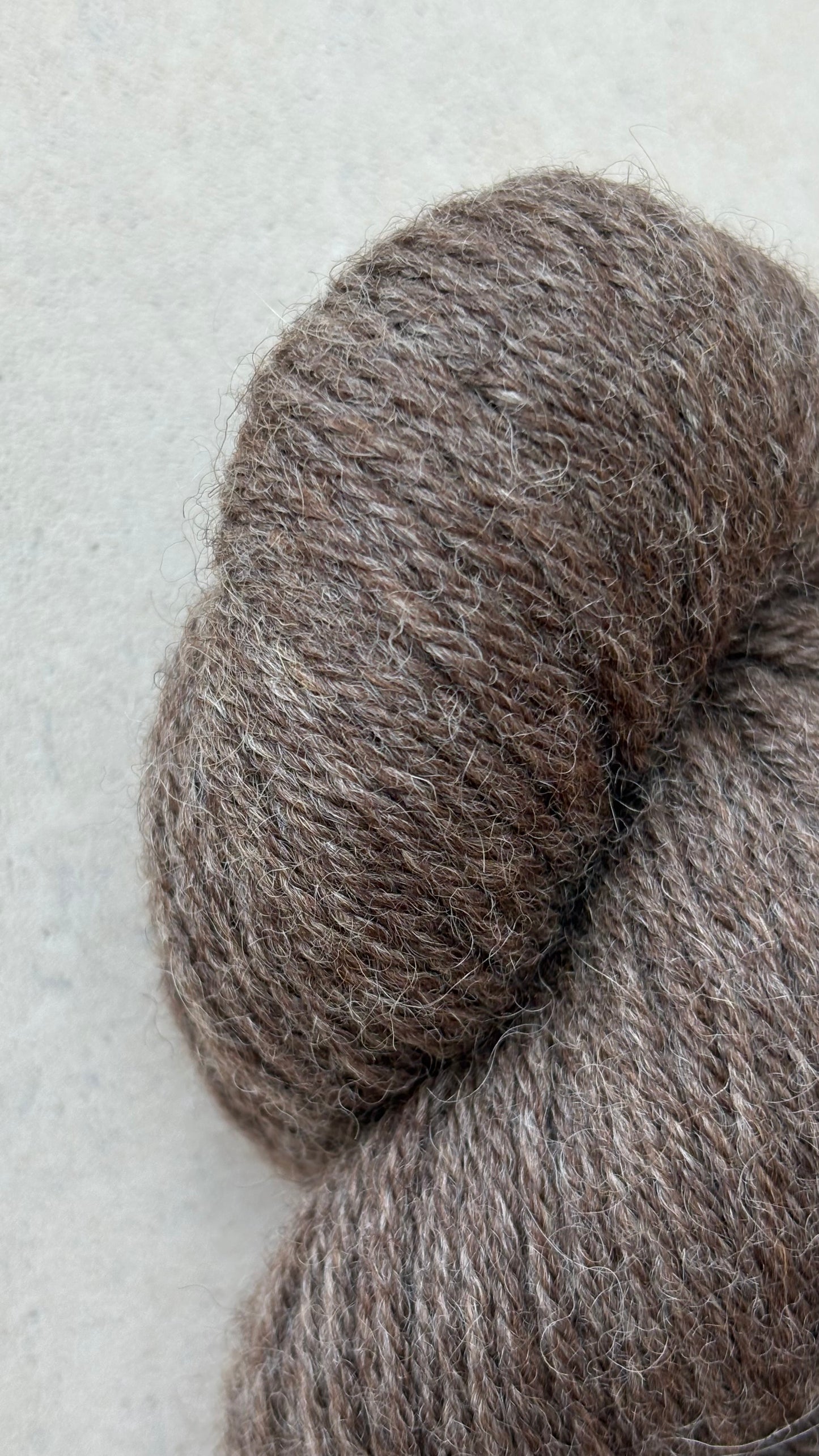 Classic Cuffed Woolly Hat - Undyed Yarn - Moorland Brown