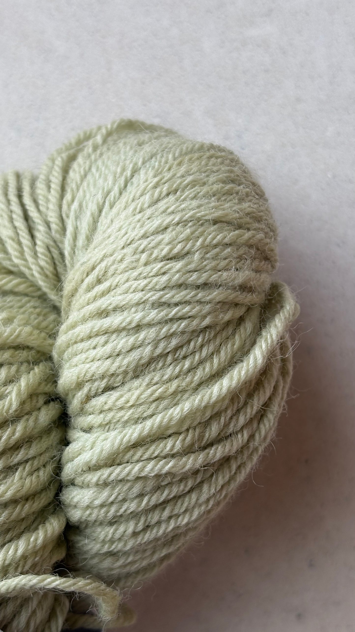 Classic Cuffed Woolly Hat - Botanical Hand Dyed Yarn - Peppermint