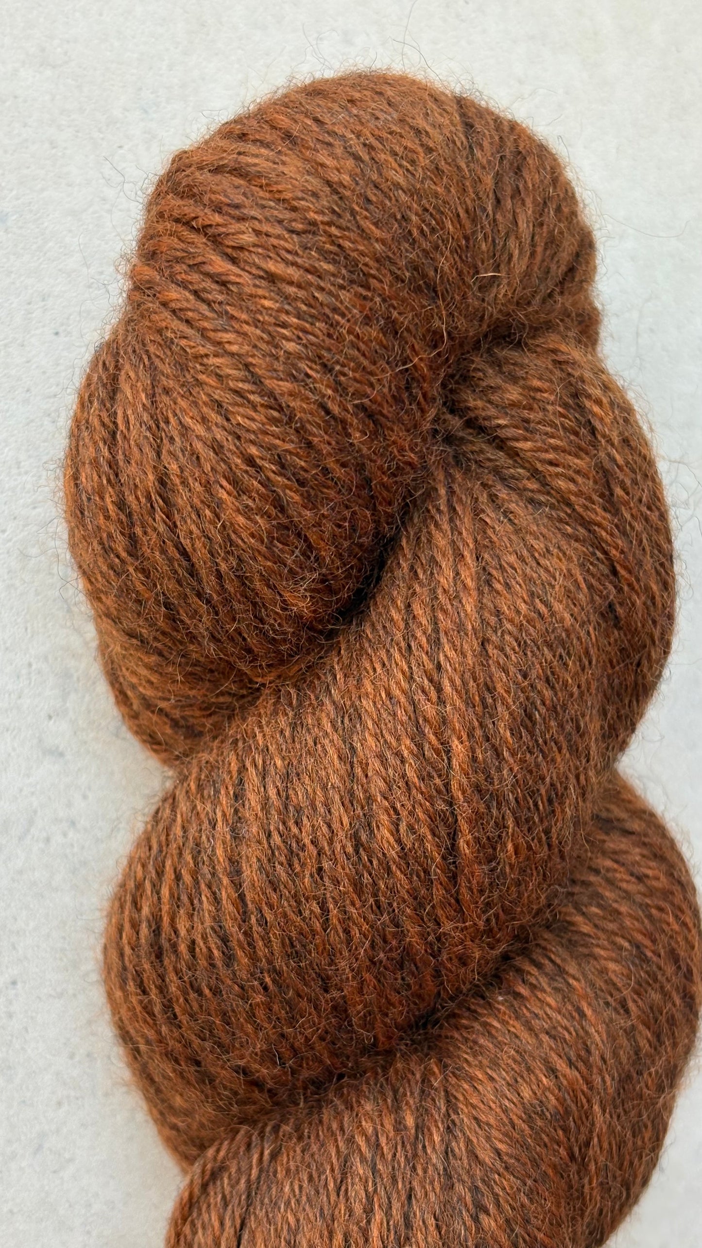 Classic Cuffed Woolly Hat - Coloured Wool Yarn - Hedgerow Chestnut