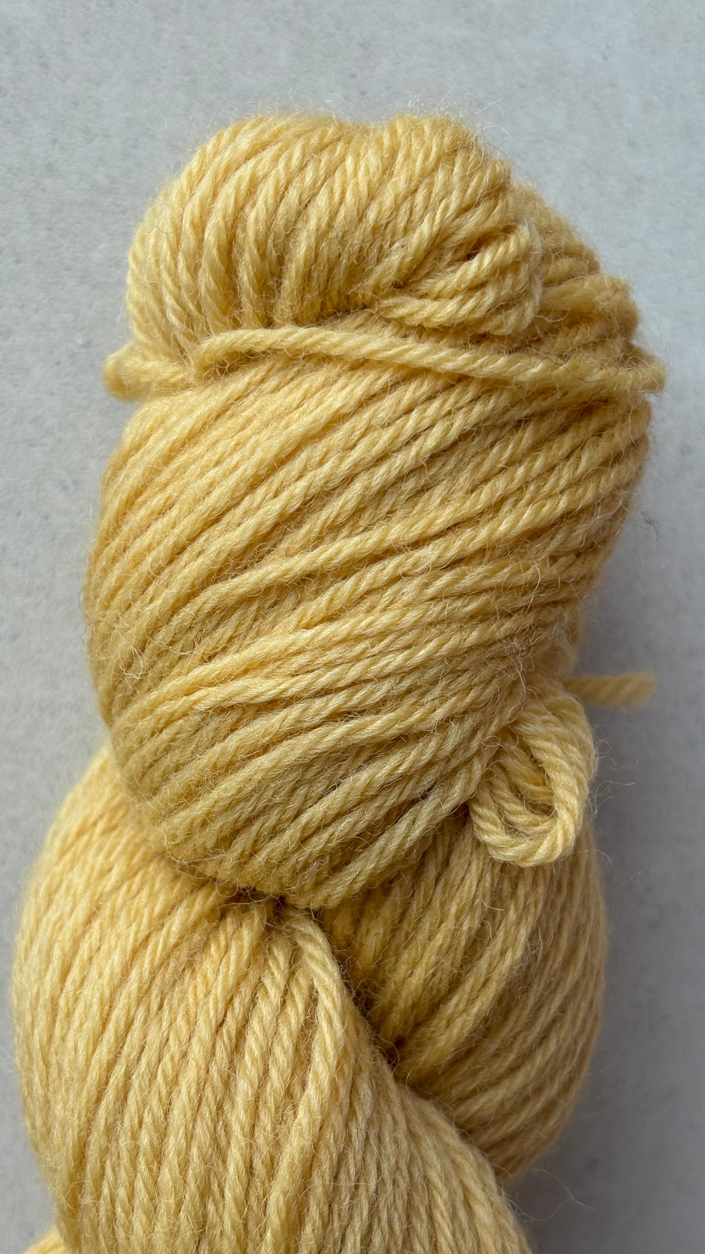 Classic Cuffed Woolly Hat - Coloured Wool Yarn - Harvest Butter